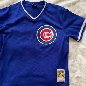 Ryne Sandberg Mitchell and Ness jersey